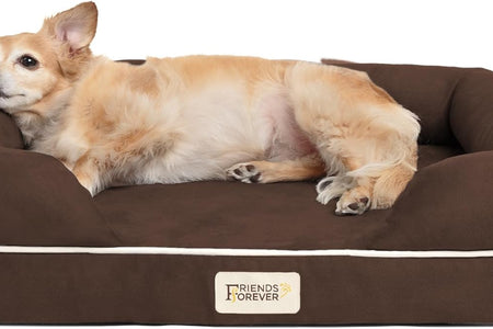 Small Dog Bed, Orthopedic Dog Sofa Memory Foam Mattress, Calming Dog Couch Bed, Wall Rim Pillow, Water Resistant Liner, Washable Cover, Non-Slip Bottom, Chester, Small Cocoa Brown
