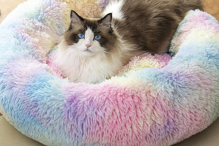 anti Anxiety round Fluffy Plush Faux Fur Warm Washable Dog Bed & Cat Bed, Original Bed for Small Medium Large Pets,Used to Relieve Joints and Improve Sleep（20"/24"/27''） (20", Rainbow)