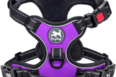 No Pull Dog Harness, No Choke Front Clip Dog Reflective Harness, Adjustable Soft Padded Pet Vest with Easy Control Handle for Small to Large Dogs(Purple,M)
