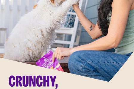 Kittles Crunchy Natural Grain Free Cat Treats, Chicken & Cranberry, 2-Ounce Bag