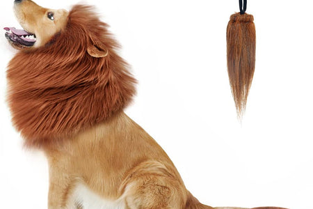 Lion Mane for Dog Costumes, Realistic Wig for Medium to Large Sized Dogs (Dark Brown)