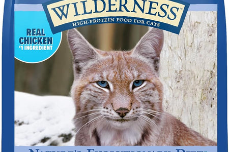 Blue Buffalo Wilderness High Protein Grain Free, Natural Adult Indoor Dry Cat Food, Chicken