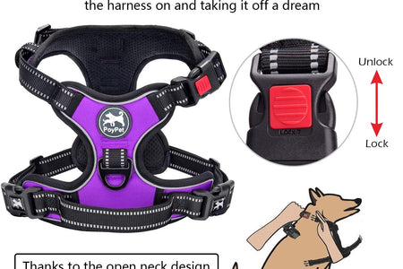 No Pull Dog Harness, No Choke Front Clip Dog Reflective Harness, Adjustable Soft Padded Pet Vest with Easy Control Handle for Small to Large Dogs(Purple,M)