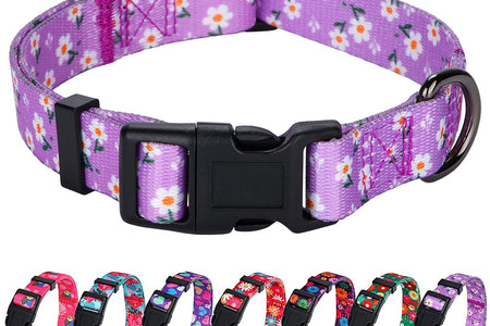 Girl Dog Collars Spring Cute Daisy Flower Pattern Lovely Print and American Flag Print Dog Collar