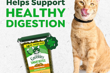 FELINE GREENIES SMARTBITES Hairball Control Crunchy and Soft Natural Cat Treats, Chicken Flavor, 16 Oz. Tub