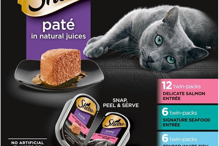 Perfect Portions Paté Wet Cat Food Tray Variety Packs