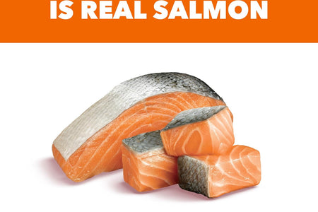 PROACTIVE HEALTH Adult Healthy Dry Cat Food with Salmon Cat Kibble, 7 Lb. Bag