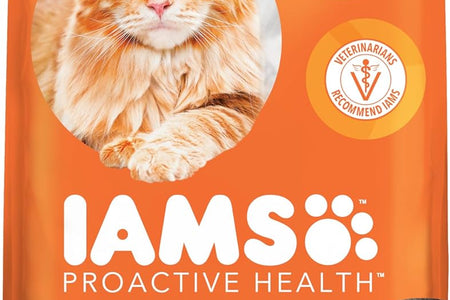 PROACTIVE HEALTH Adult Healthy Dry Cat Food with Salmon Cat Kibble, 7 Lb. Bag