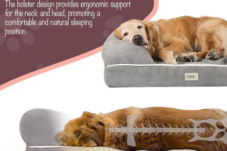 Small Dog Bed, Orthopedic Dog Sofa Memory Foam Mattress, Calming Dog Couch Bed, Wall Rim Pillow, Water Resistant Liner, Washable Cover, Non-Slip Bottom, Chester, Small Cocoa Brown