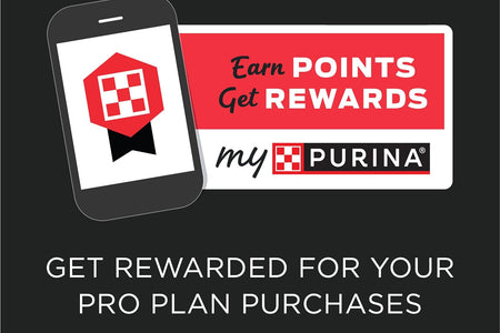 Purina Pro Plan Liveclear with Probiotics Allergen Reducing Weight Management Adult Dry Cat Food