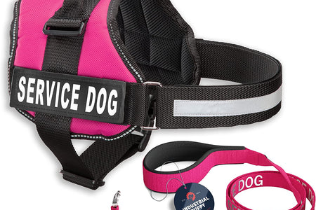 Service Dog Vest with Hook and Loop Straps & Matching Service Dog Leash Set - Harnesses from XXS to XXL - Service Dog Harness Features Reflective Patch and Comfortable Mesh Design (Pink, XL)