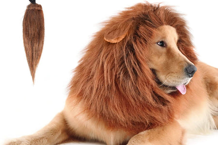 Lion Mane for Dog Costumes, Realistic Wig for Medium to Large Sized Dogs (Dark Brown)