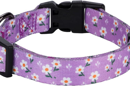 Girl Dog Collars Spring Cute Daisy Flower Pattern Lovely Print and American Flag Print Dog Collar